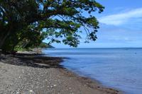 Spaziergang durch Savusavu - Hafenbucht
