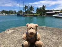 Ausflug nach Nadi - Vuda Marina