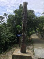 Lifou - Spaziergang zur Kapelle Notre Dame de Lourdes