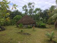 Lifou - Traditionelle Hütte der Kanak