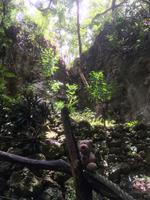 Lifou - Höhlenexpedition mit Max