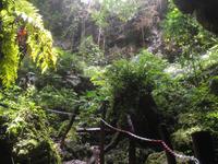 Lifou - Höhlenexpedition mit Max