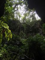 Lifou - Höhlenexpedition mit Max