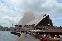 Zurück in Sydney - Spaziergang zum Opernhaus