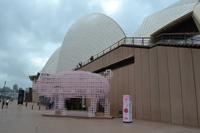 Zurück in Sydney - Vorbereitung auf das Chinese New Year Festival