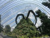 Gardens by the Bay - Singapur