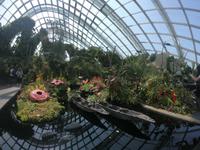 Gardens by the Bay - Singapur