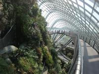 Gardens by the Bay - Singapur