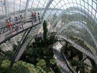 Gardens by the Bay - Singapur