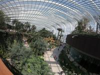 Gardens by the Bay - Singapur