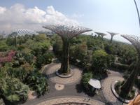 Gardens by the Bay - Singapur