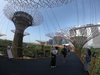 Gardens by the Bay - Singapur