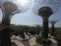 Gardens by the Bay - Singapur