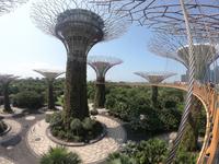 Gardens by the Bay - Singapur