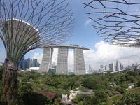 Gardens by the Bay - Singapur