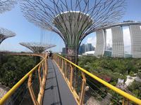 Gardens by the Bay - Singapur