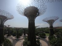 Gardens by the Bay - Singapur