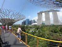 Gardens by the Bay - Singapur