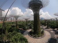 Gardens by the Bay - Singapur
