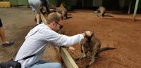 Featherdale Wildlife Park - Sydney