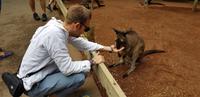 Featherdale Wildlife Park - Sydney