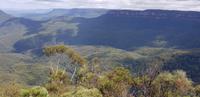 Ausflug zu den Blue Mountains