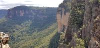 Ausflug zu den Blue Mountains