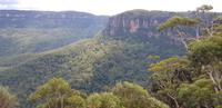 Ausflug zu den Blue Mountains