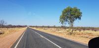 Fahrt durch das Outback von Alice zum Ayers Rock