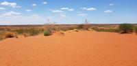 Sanddüne im Outback 