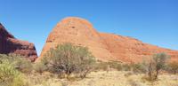 Fahrt zu den Kata Tjutas / Olgas