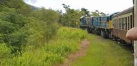 Zugfahrt von Kuranda zurück nach Cairns