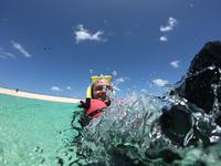 Schnorcheln im Great Barrier Reef