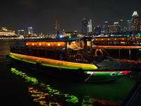 006 Singapur beiu Nacht