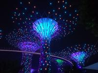 007 Singapur beiu Nacht