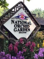 010 Singapur - Orchideengarten