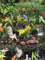 011 Singapur - Orchideengarten