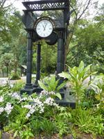 016 Singapur - Orchideengarten