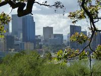026 Perth - Blick vom Kings-Park