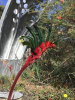 028 Perth - Kings-Park