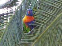 030a Perth - Kings-Park