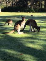 036 Perth - Pinaroo Valley