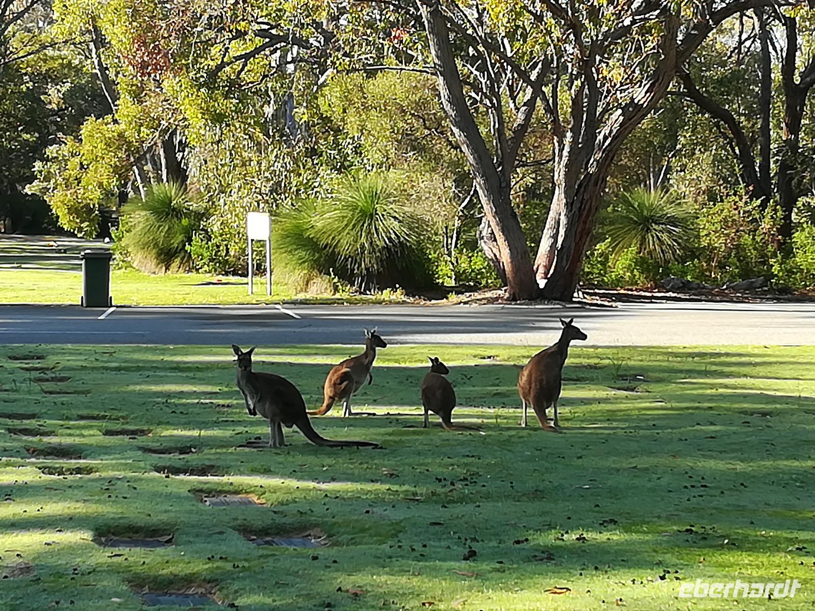 037 Perth - Pinaroo Valley