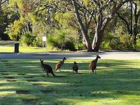 037 Perth - Pinaroo Valley