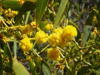 041 Perth - Indian Ocean Drive