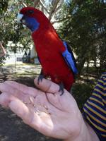 060 Melbourne - Great Ocean Road