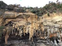 064 Melbourne - Loch Arde Gorge