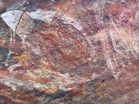 119 Kakadu-Nationalpark - Wanderung Ubirr-Rocks