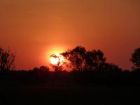 130 Kakadu-Nationalpark - Bootsfahrt auf dem Yellow Water