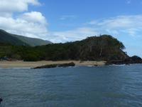 139a Cairns - Spaziergang in Palm Cove